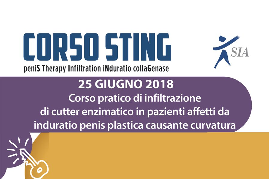 Corso STING – Napoli 25 Giugno 2018