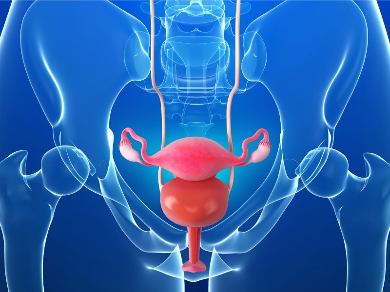 Uroginecologia