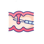 Proctology(9)