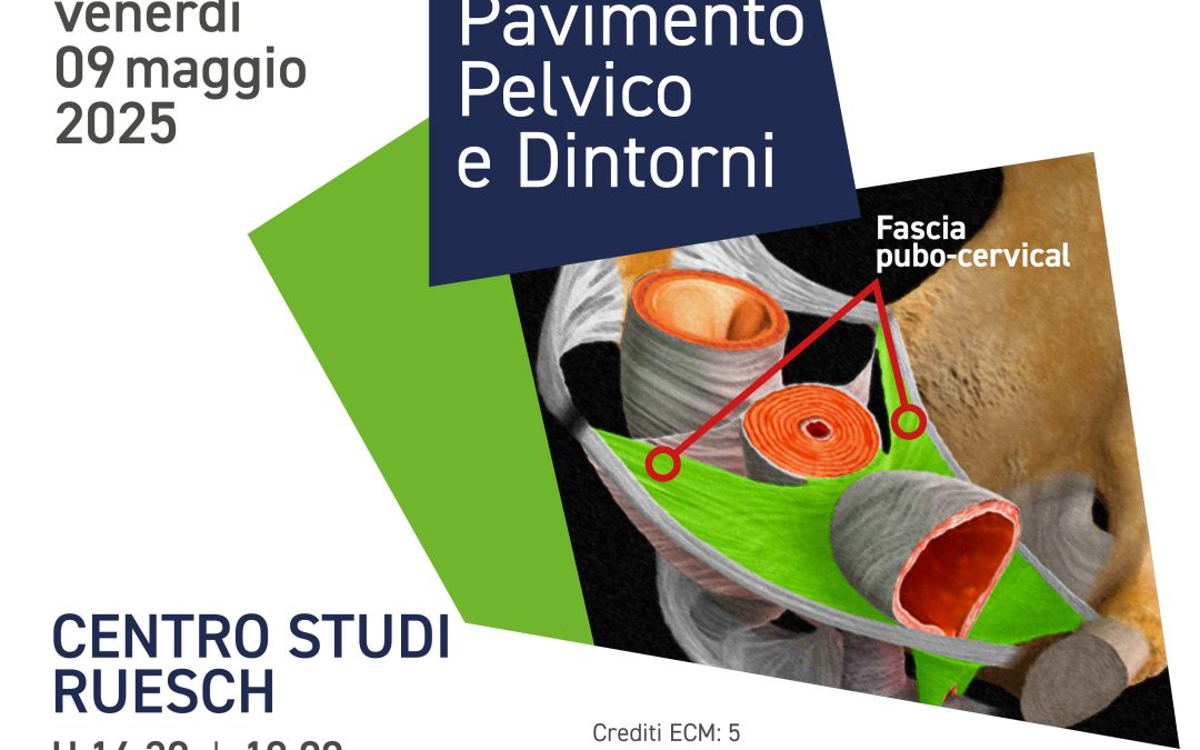 Pavimento pelvico e dintorni